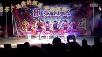 吕芳广场舞团队表演《广场舞张灯结彩》下载