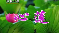 沂蒙小调心莲：06