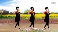 吕芳广场舞《姑娘美》惠茹编舞下载