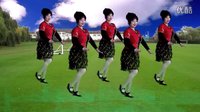 广场舞凉山上的月亮下载