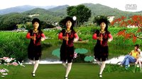 山里红广场舞下载