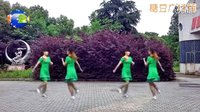 益馨广场舞《三言两语来说爱》双人对跳舞 
