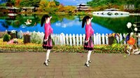 吕芳广场舞2016年最新《妈妈的吻》正背面及分解下载