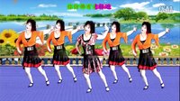 2016最新吕芳 广场舞《因为我爱你》正背面及分解下载