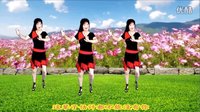 2016最新吕芳广场舞《姐姐我爱你》正背面及分解下载