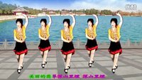 吕芳广场舞 2016最新《假如你要认识我》正背面及分解下载