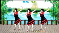吕芳广场舞2016《DJ你开心所以我快乐》正背面  及分解动作下载