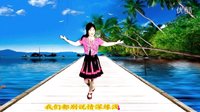 吕芳广场舞2016最新《守一分执着》正背面及分解动作下载