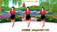 吕芳广场舞2016最新《走过咖啡屋》正背面及分解动作下载