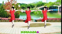 吕芳广场舞2016最新《我最爱的人你在哪里》正背面及分解下载