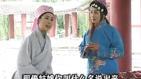 琴书《龙凤情仇》06下载