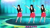 吕芳广场舞DJ《天下的姐妹》正背面及分解动作下载