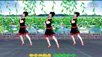 吕芳广场舞最新《不怨情深奈何缘浅》正背面 及分解动作下载