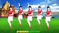 吕芳广场舞2016最新《情为何物》正背面及分解动作下载