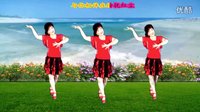 吕芳广场舞2016最新《今生的唯一》正背面及分解动作下载
