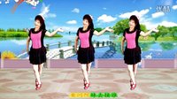 吕芳广场舞《风含情水含笑》正背面及分解动作下载