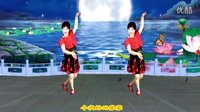 最新吕芳广场舞《今夜雨蒙蒙》正背面及分解下载