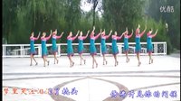 2016最新广场舞《飞到你身边》最热门简单易