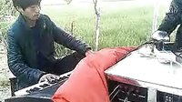 唢呐 《哭灵堂 真苦》
