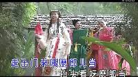 黄梅戏《杉木水桶》下载