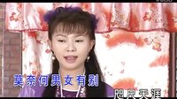 黄梅戏《情深似海》下载