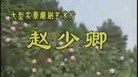 《赵少卿》电视剧版下载