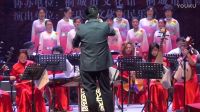 黄梅戏《女驸马》走进桐城 (2)下载
