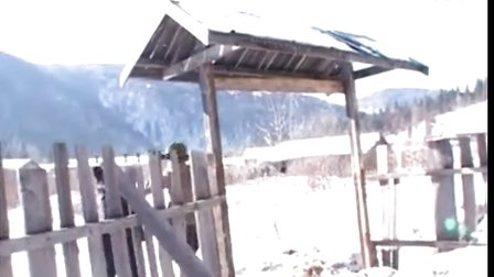 二人转短剧《不孝的儿媳》黄五 付晓风 张喜五 刘大波等下载