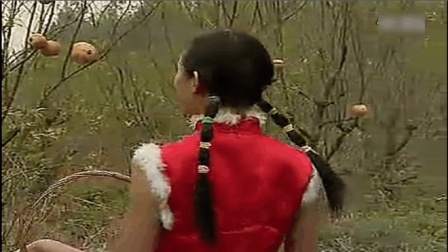 沂蒙小调《摘石榴》小女摘石榴盼情郎 小伙爬墙头偷看下载