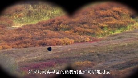 阿拉斯加求生实验 (五)下载
