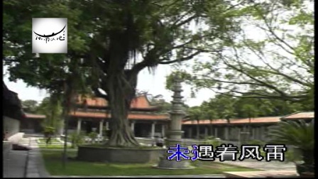 李白燕《杯君劝酒》字幕版下载