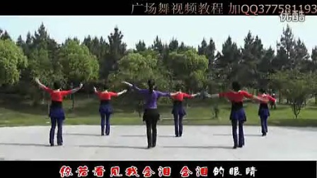 《草原情哥哥》动动广场舞演示版下载