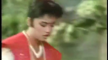 歌仔戏《薛丁山与樊梨花》1下载