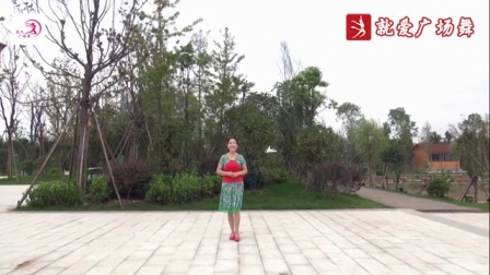 美久广场舞《梦中的兰花花》正面附教学 原