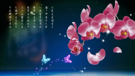 舞动青春广场舞  迪斯科广场舞  莱州广场舞