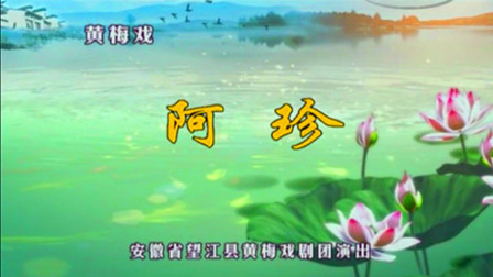 黄梅戏《阿珍》童玲红 王文华 甘淑燕下载