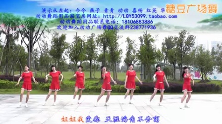 动动广场舞《姐姐我爱你 DJ》高清下载