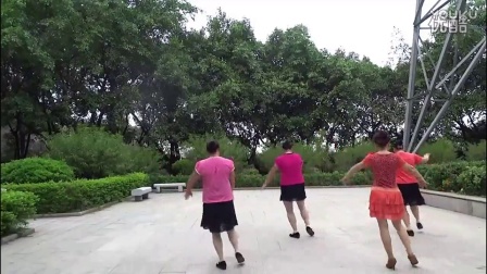 广场舞大街小巷都听我的歌紫蝶踏歌广场舞下载