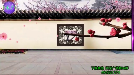 2017最新广场舞《一吻红尘》阿采广场舞234 附教学下载