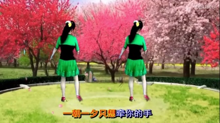 最新吕芳广场舞《想你想不够》简单优美好学 正背面及分解动作高清下载
