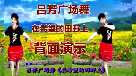 《在希望的田野上》老歌好学舞 正背面及分解动作高清下载