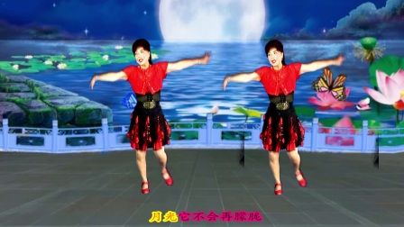 最新吕芳广场舞《今夜雨蒙蒙》正背面及分解下载