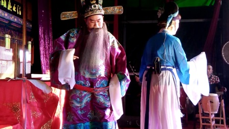 庐剧现场《王华买父》10