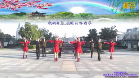 动动广场舞《兄妹情深12人变队形》下载