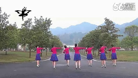 紫蝶广场舞《想起了你》《工农广场舞新舞教学》高清下载