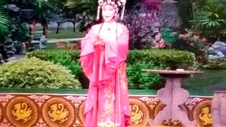 白字戏《金叶菊》