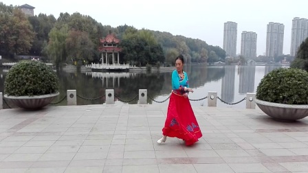 滁州市莲心湖公园广场舞《天赐缘》编舞 应子下载