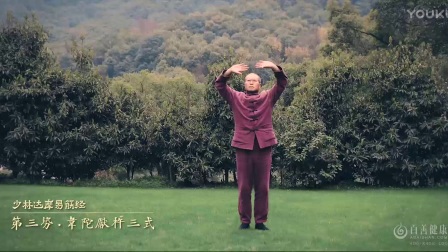 少林达摩易筋经十二势教学 高清下载