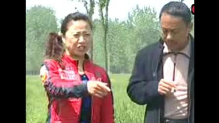 民间小调经典下载