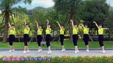 喜洋洋广场舞《第九套广播操》中老年广场舞